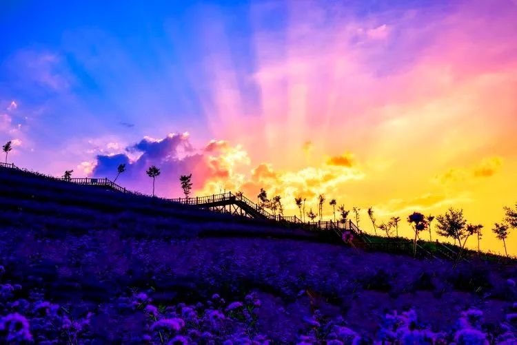 南天丽景绿溪谷,兴隆县南天丽景千亩花海