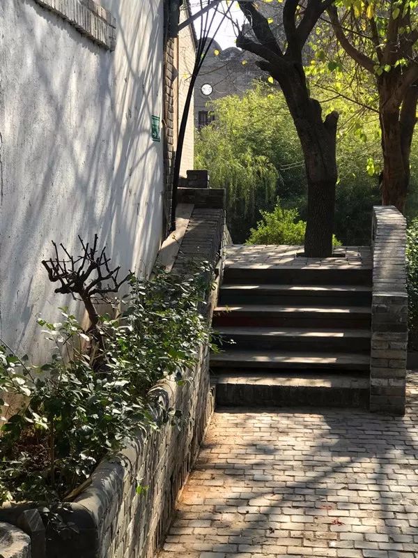 陕西袁家村一年游客量,袁家村营业额过百亿