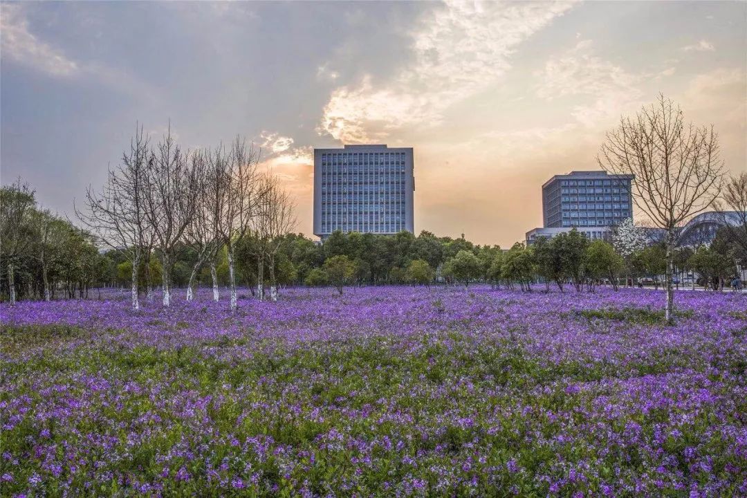 嗨，新同学你好，这里是河海大学！