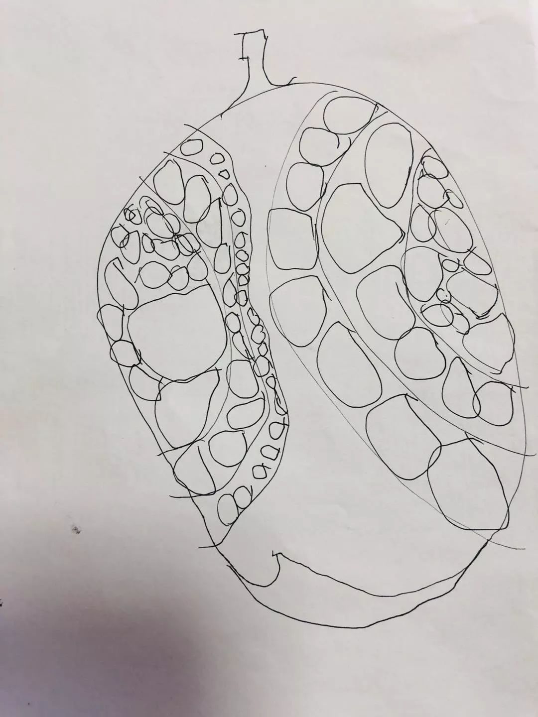 一枚熊孩子+三位高龄老人，携老扶幼的superhard模式，照样玩转日本自由行