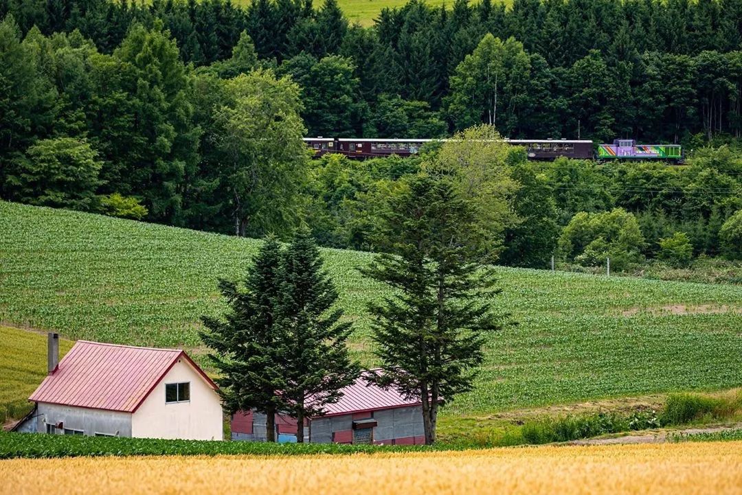 日本10条最好看电车线路,日本特急电车
