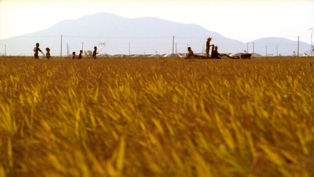 杀人回忆里真凶被抓,杀人回忆的凶手怎么被抓住的