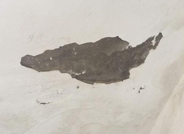 墙顶发霉要重新刷漆多久能入住,墙壁发霉掉漆怎么办