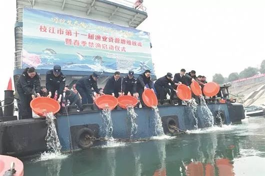 2019/8/26(941)《湖北日报》整版丨携手同行,形成合力,用法治保护国家利益和社会公共利益