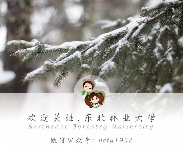 东林新生指南NO.6|你最关心的问题，这里都有