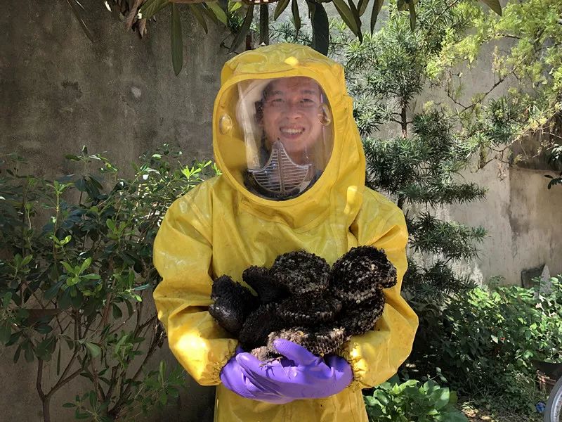 常见毒虫致命,遇到这些毒虫怎么自救