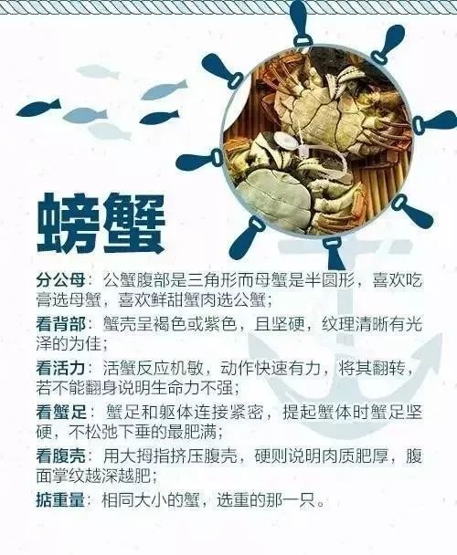 开海买海鲜攻略,开海了一般市场海鲜什么时候便宜