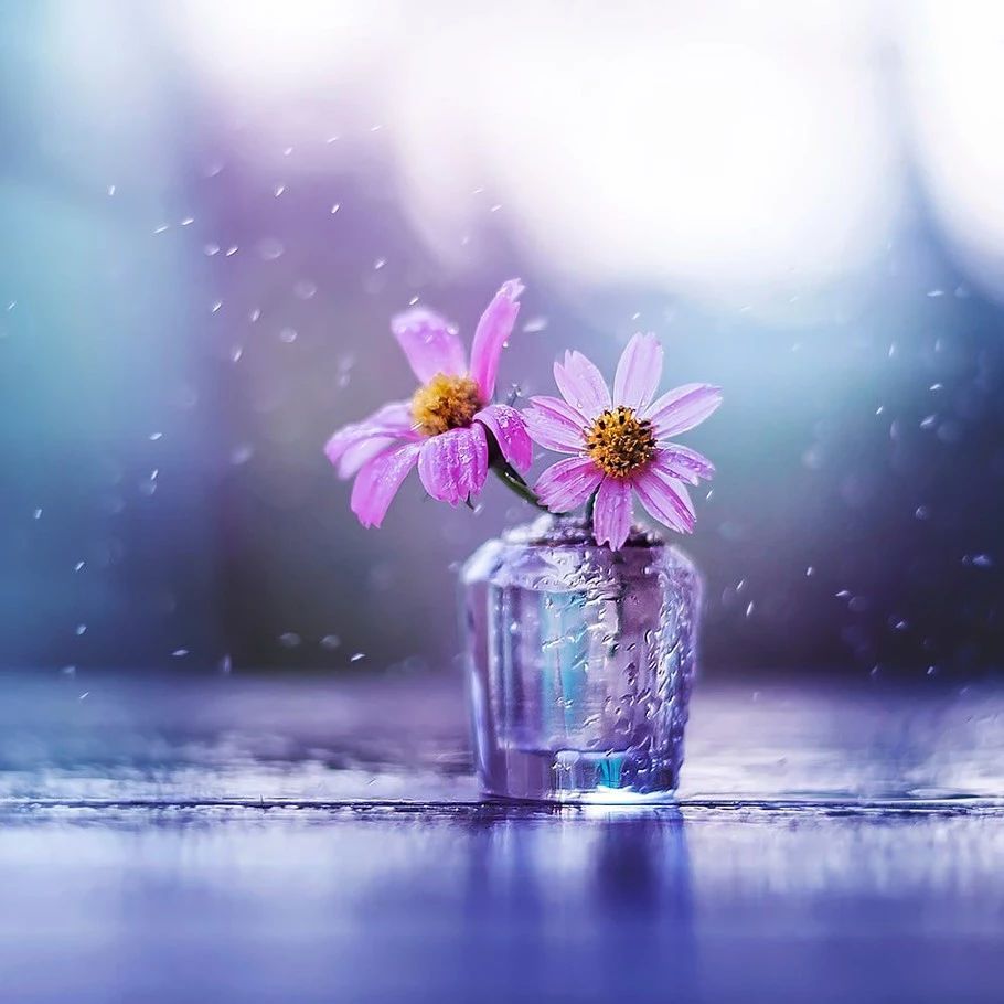 70个常见的健康知识,70个经典健康小知识