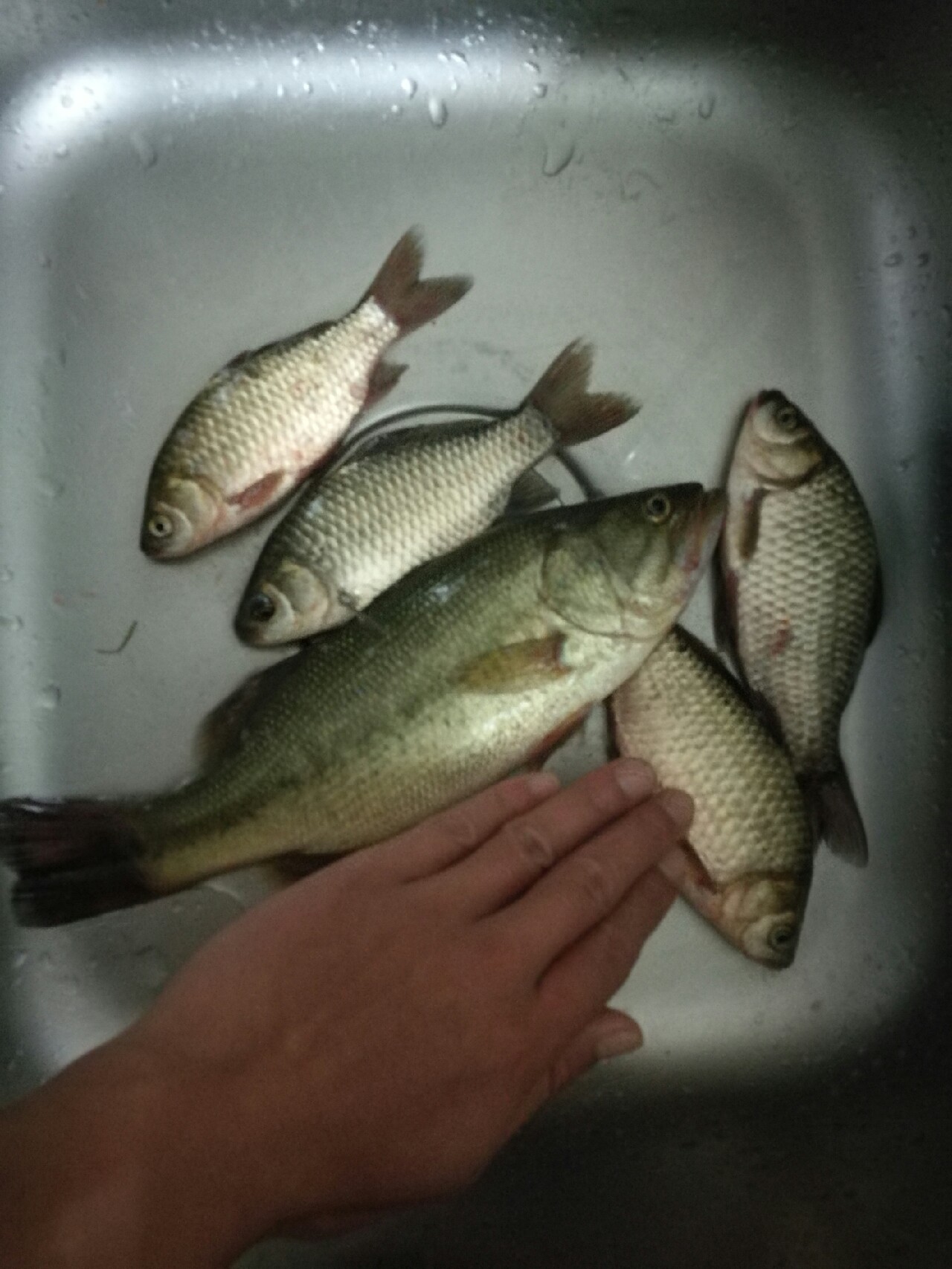 钓鱼爆护口诀100句,为钓鱼付出过哪些努力