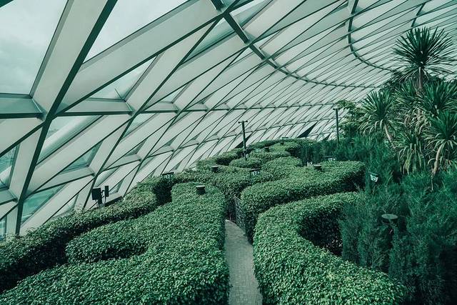 新加坡最美的机场有什么好玩的,新加坡机场免费观光之旅