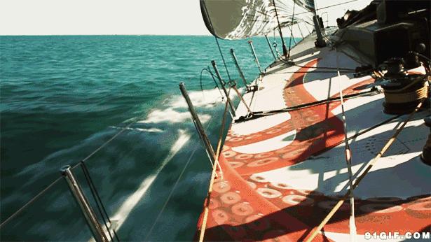 “我们只骗中国人,他们人傻钱多”,国外商家专坑中国人被曝光!