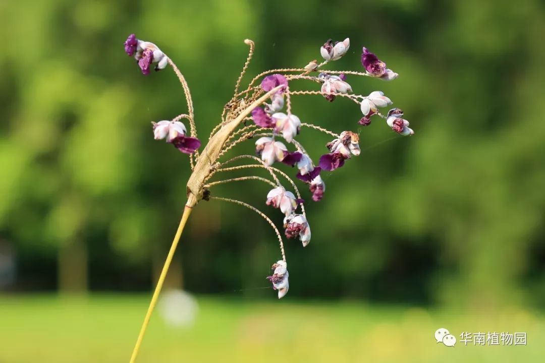 鏂扮煡鏂拌В,鏂扮煡鏂拌