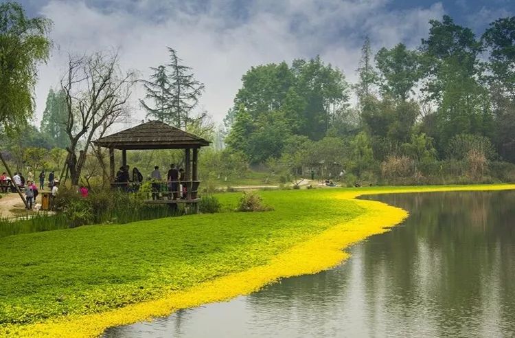 回归大自然呼吸天然氧吧,回归大自然清新空气