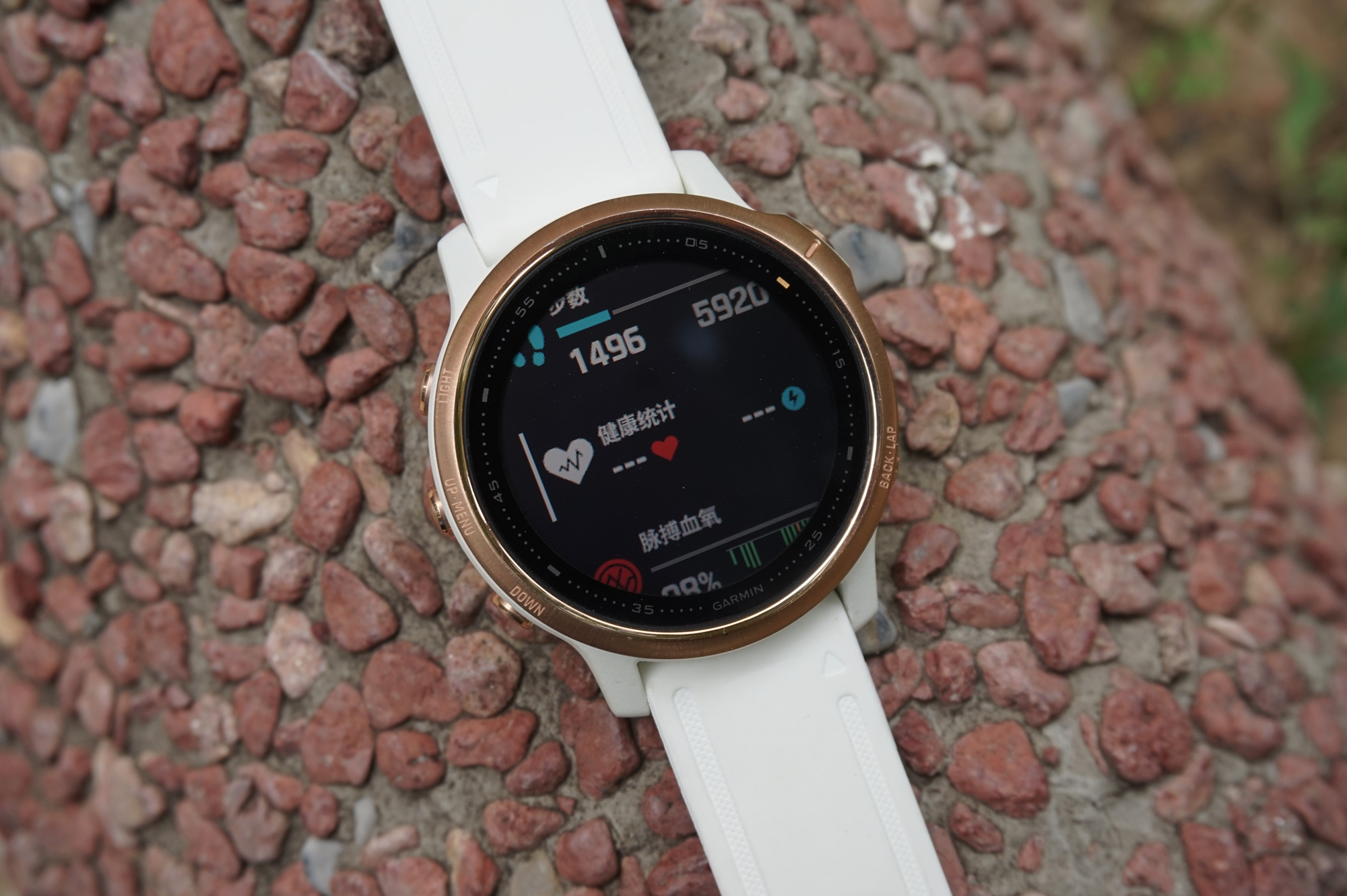 garminfenix6xpro值得买吗,garminfenix哪个系列好