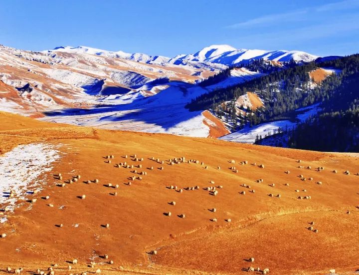 为什么叫甘肃,甘肃为什么叫河西走廊