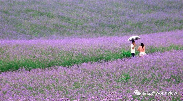 广西今日头条地址,广西有哪些头条自媒体