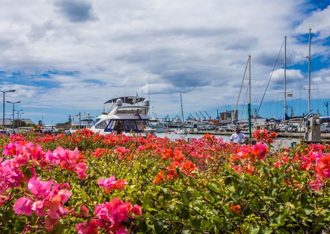 毛里求斯的基础知识,毛里求斯的十个秘密