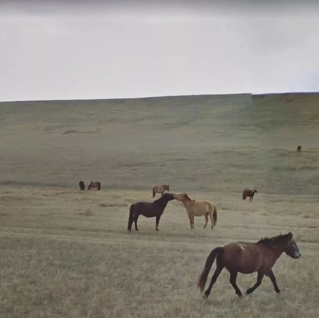 老公知道你的秘密他会怎么样,我的秘密他知道