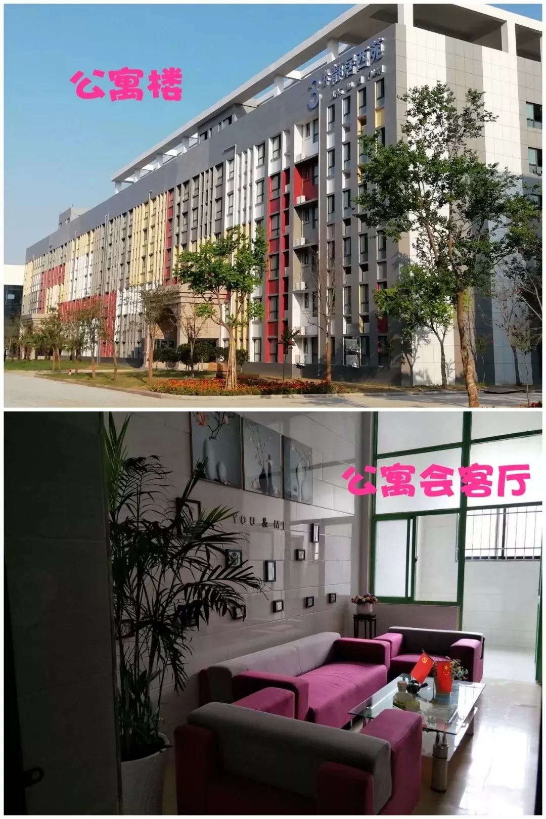 高校宿舍楼一个多少钱,河南各大学宿舍住宿条件怎么样