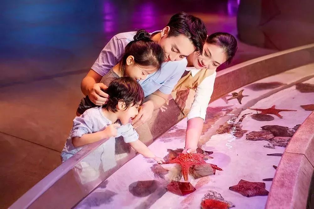 三亚3天2晚亚特兰蒂斯,三亚5天4晚亚特兰蒂斯酒店双人游