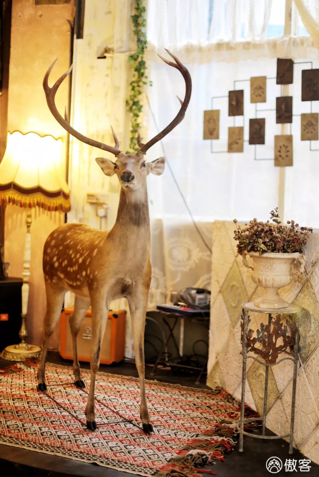 厦门有哪些拍照好看的地方,厦门十大拍照地方