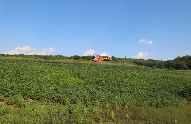 沃野生金——来自抚松县的“一谷一城”建设报道