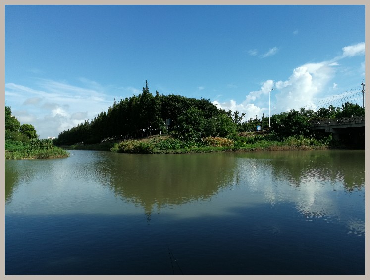 异地最后一次作钓，江鳊鱼获全部送邻居