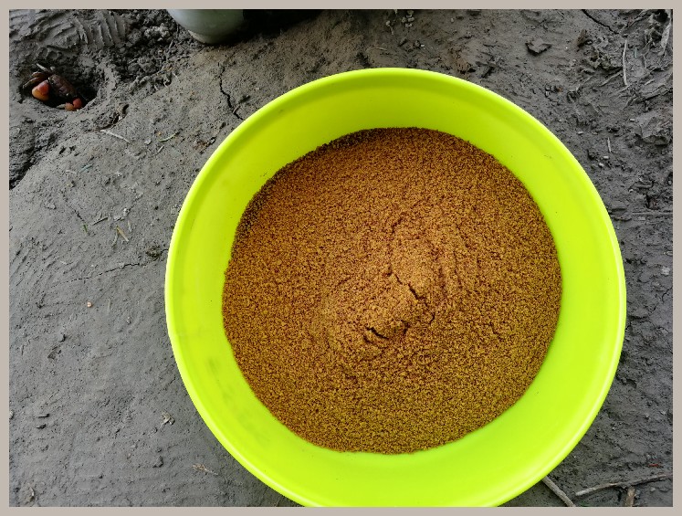 异地最后一次作钓，江鳊鱼获全部送邻居