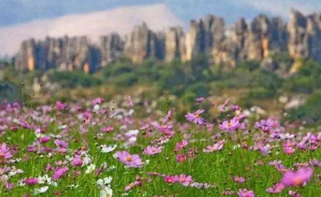 徐州地铁1号线能到哪些景区,徐州地铁1号线旅游路线