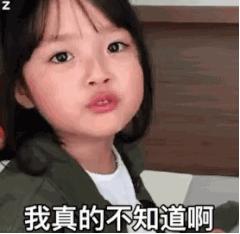 成都人打字,输入法打不出来的东北话