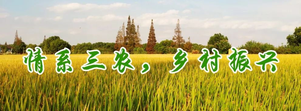 农业农村部高标准农田建设项目,农业农村部最新发布高标准农田