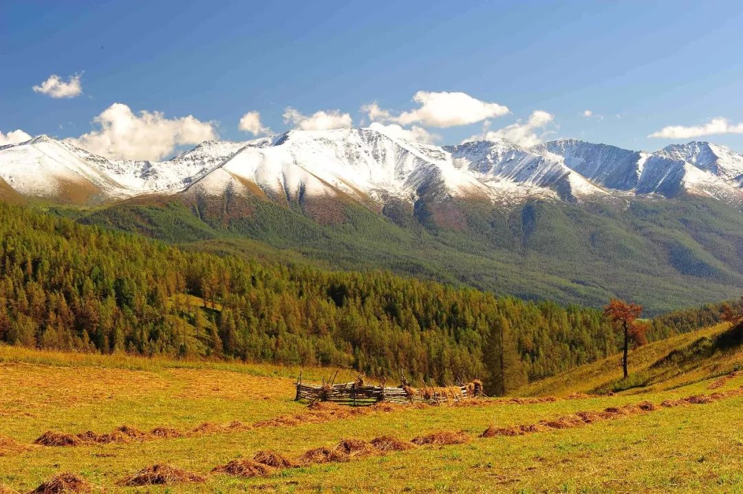央视怀旧经典背景音乐,央视经典背景音乐排名