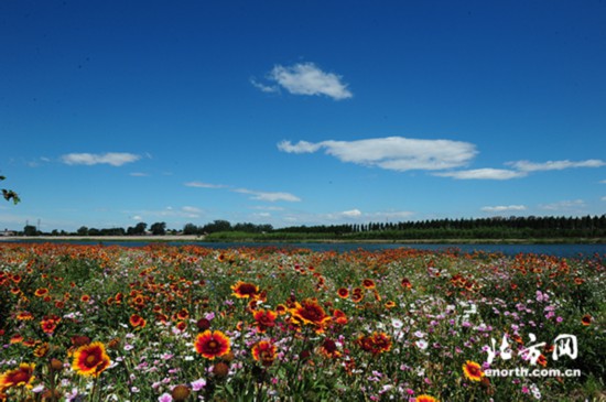 文化旅游博览会展会,旅游文化博览会