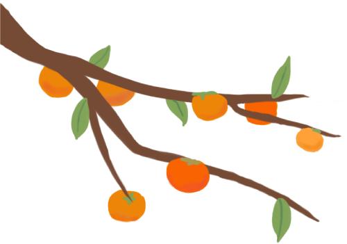 教师节丨十六年如一日，她把喜欢和坚持都花在了这里……