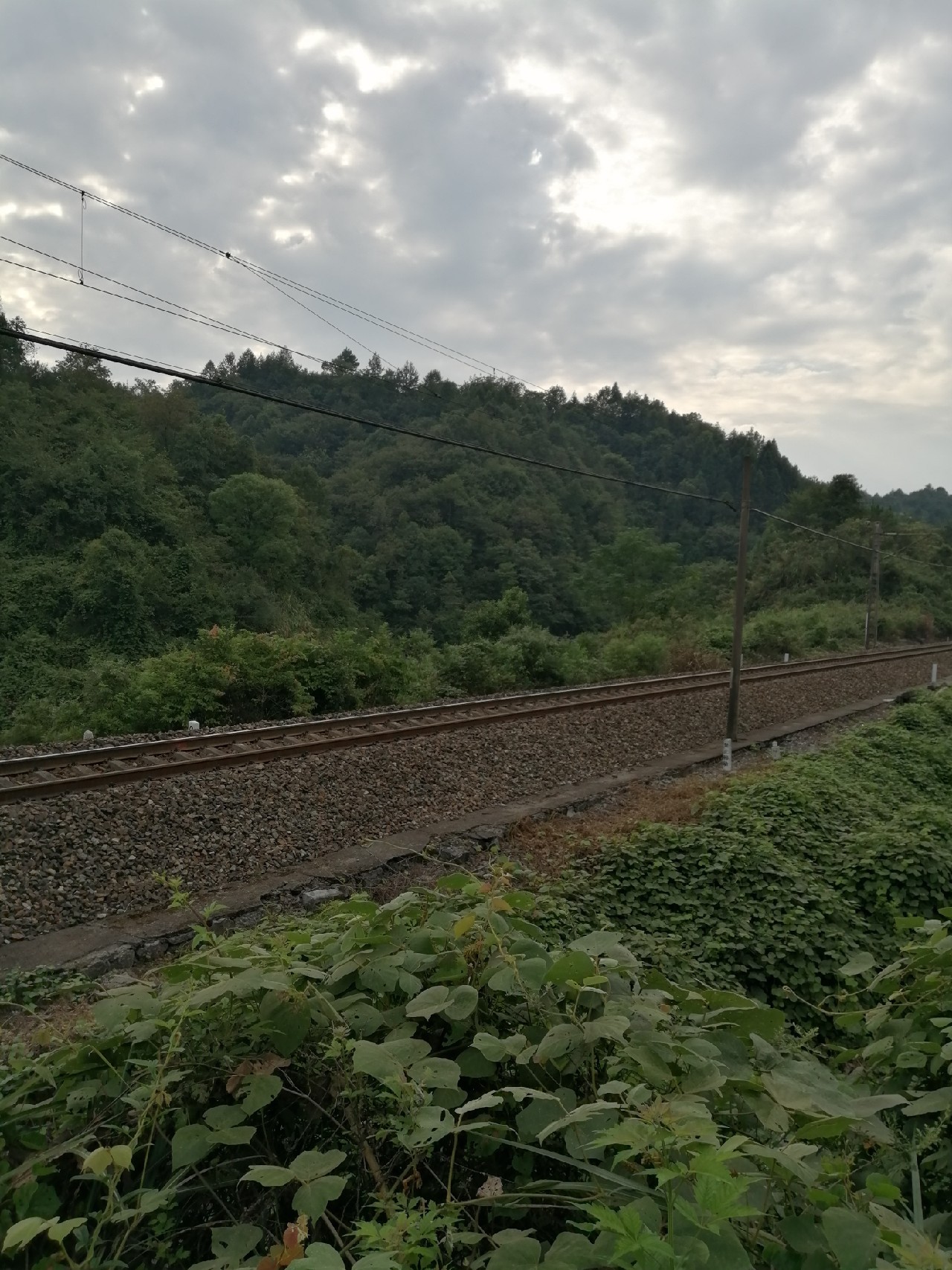 别人对你说钓鱼是什么意思,对于钓鱼各位钓友有什么看法