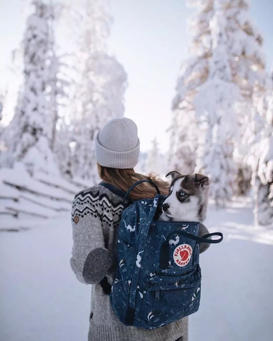 开学让同学眼前一亮的双肩包推荐,学生党开学季双肩包安利