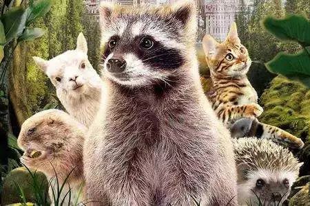 阿里20亿美金收购网易考拉;PRADA将关闭香港最大门店;盒马购物中心“盒马里”首家将落深圳|猫头鹰商业周报