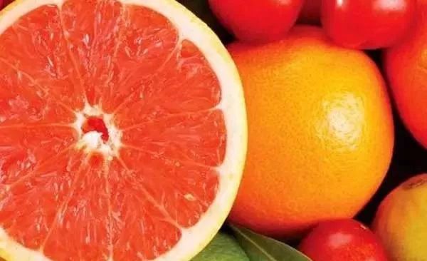 怎样吃野苦菜最有营养价值,越苦越有营养的4种食物