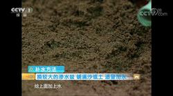 盆栽花草补水有哪些方法技巧,花快干枯了怎么补水