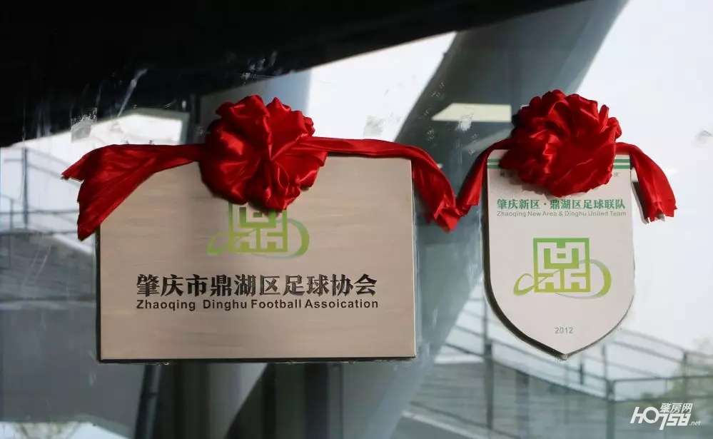 肇庆鼎湖足球比赛,肇庆市足球协会