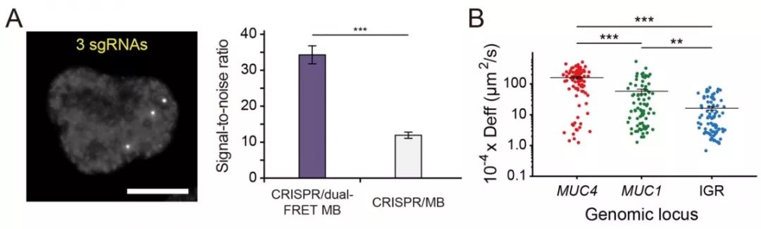 北大排名超清华,全国高校自然指数排名中北大学