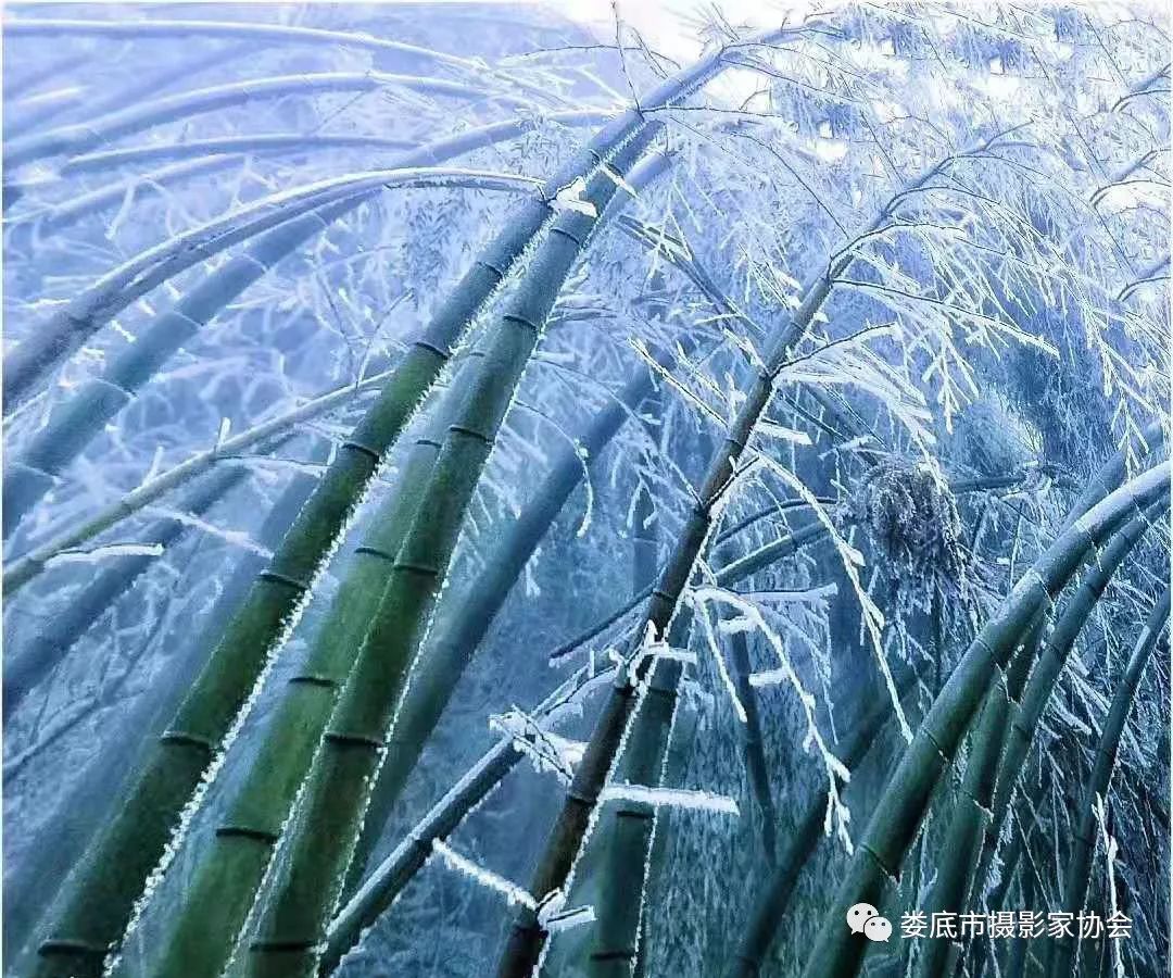 生态娄底美丽家园——【壮丽70年奋斗新时代】娄底首届风光摄影作品展览生态小品作品选登