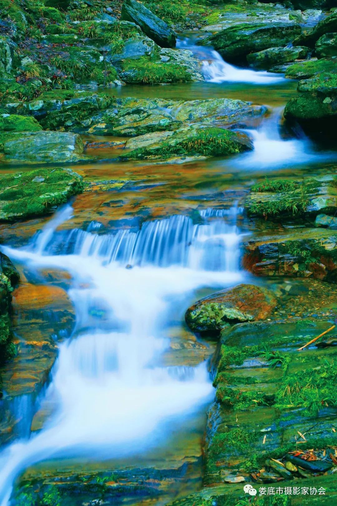 生态娄底美丽家园——【壮丽70年奋斗新时代】娄底首届风光摄影作品展览生态小品作品选登