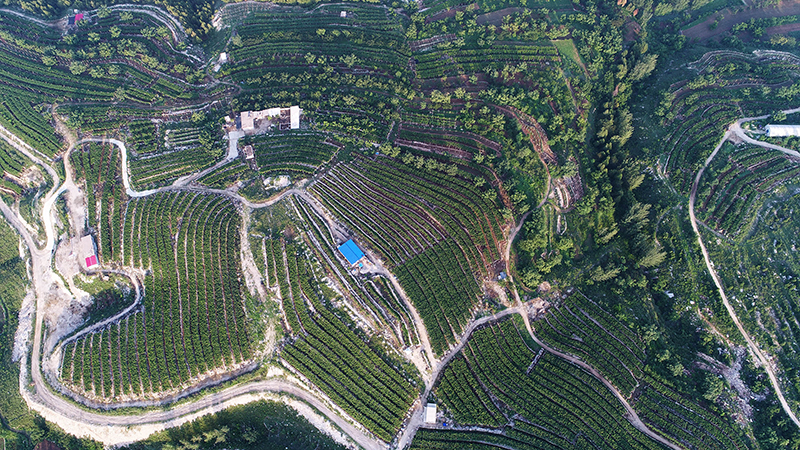 大河之北完整版视频,大河之北原唱完整版