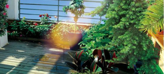 天空之城宫崎骏音乐会滨州门票,天空之城昌吉宫崎骏音乐会门票