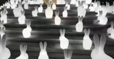 一探究竟|备受瞩目的大觉中秋明珠之夜到底精彩在哪里?