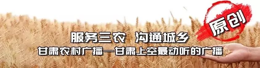 伪装者明镜突然探望明台,伪装者明台重庆任务