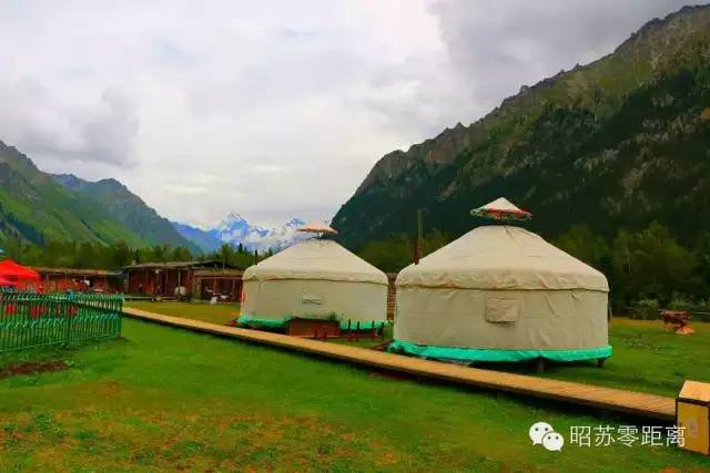 笔尖思路抒怀昭苏丨优秀作品展《夏塔怀想》