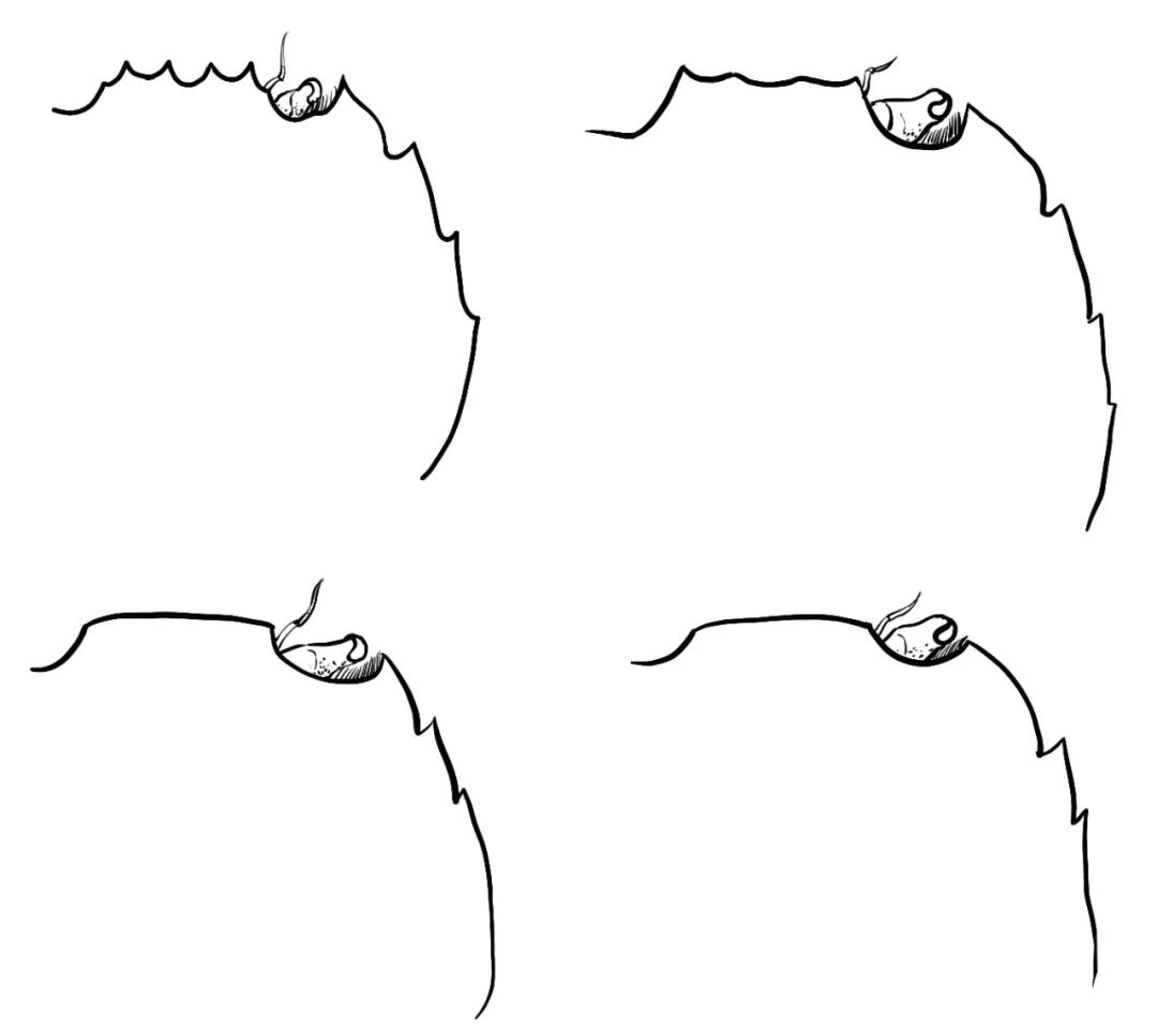 大闸蟹做法简单又好吃,鹤龙湖大闸蟹哪家好吃