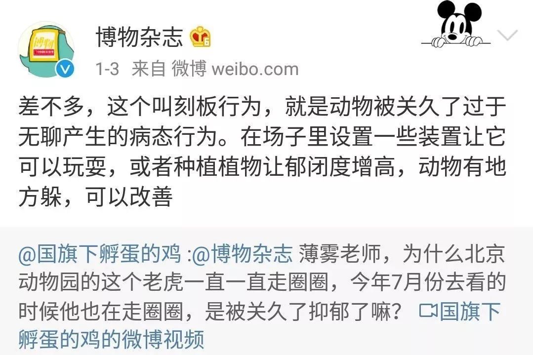 马戏团老虎逃脱后死亡,马戏团老虎脱逃最新结果